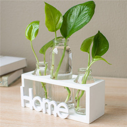 Transparent Glass Hydroponic Vase for Home Decor